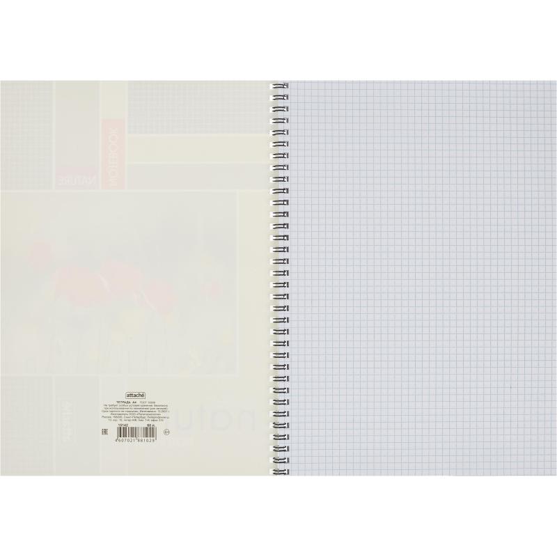 Тетрадь общая Attache,60л,клет,А4,спир,обл.мел.карт
