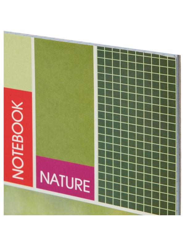 Тетрадь общая Attache,60л,клет,А4,спир,обл.мел.карт