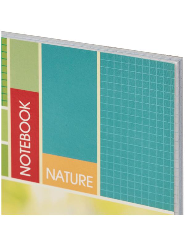 Тетрадь общая Attache,80л,клет,А4,спир,обл.мел.карт