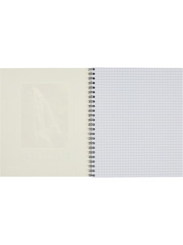 Тетрадь общая Attache,80л,клет,А5,спир,обл.мел.карт