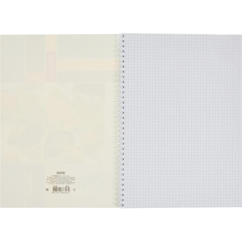 Тетрадь общая Attache,96л,клет,А4,спир,обл.мел.карт