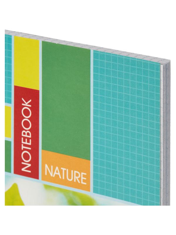 Тетрадь общая Attache,96л,клет,А4,спир,обл.мел.карт