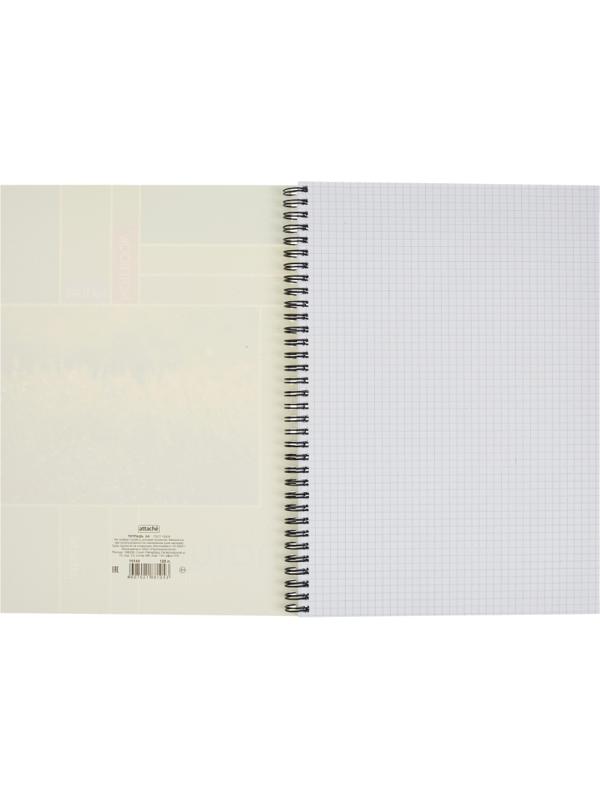 Тетрадь общая Attache,120л,клет,А4,спир,обл.мел.карт