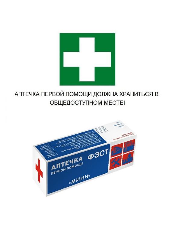 Аптечка индивидуальная ФЭСТ МИНИ (пластик) арт 1077