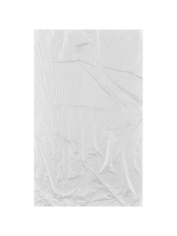 Пакет фасовочный  ПНД 25х40 15мкм 250шт./уп.