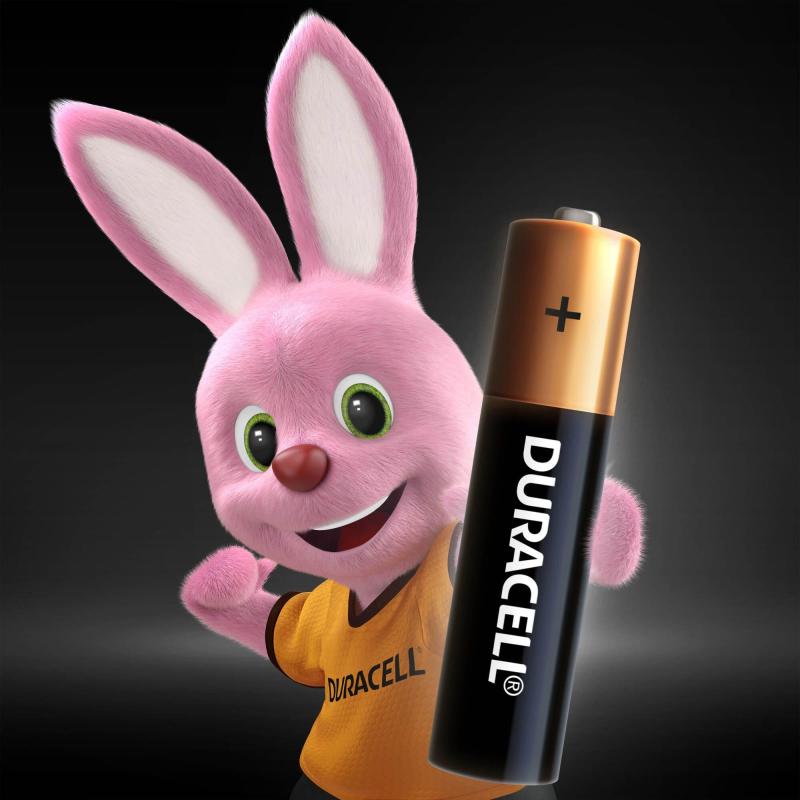 Батарейка DURACELL BASIC ААA/LR03-12BL