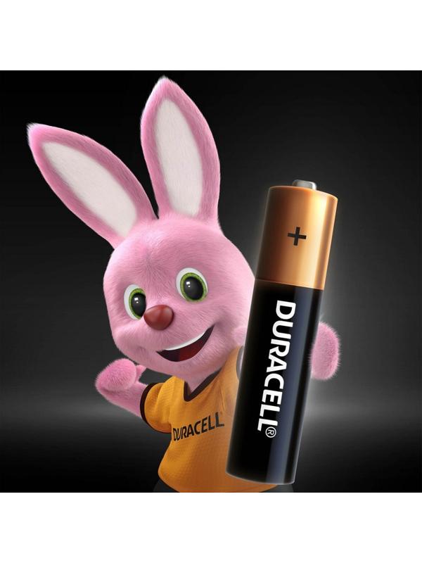 Батарейка DURACELL BASIC ААA/LR03-8BL