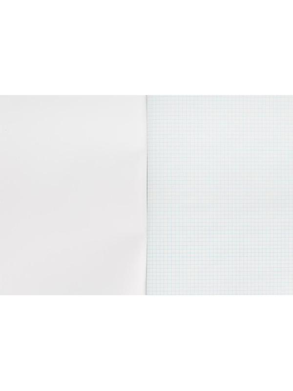 Тетрадь общая 96л,клет,А4,скреп,обл.бумвин,цвета в асс