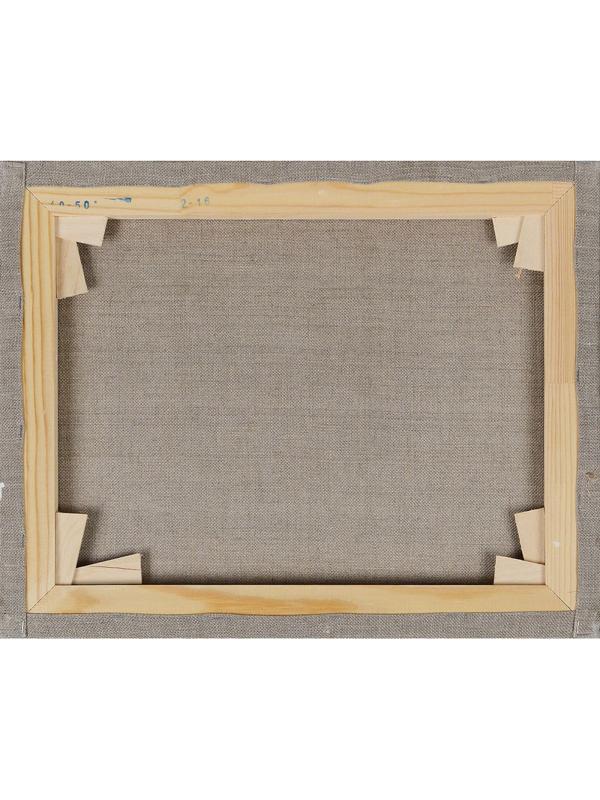 Холст Туюкан  40х50 лен Т0003962