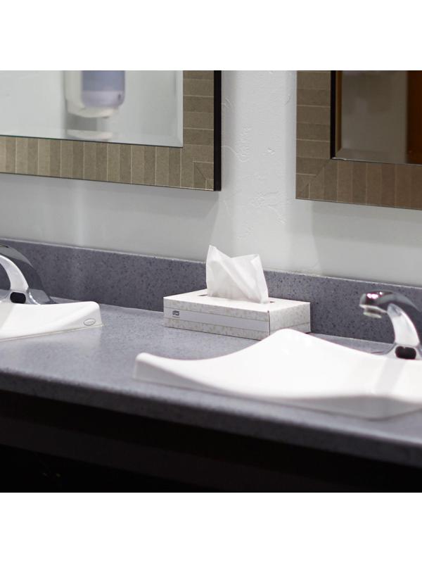 Салфетки косметические Tork F1 д/лица 2сл. 100шт/уп 120380