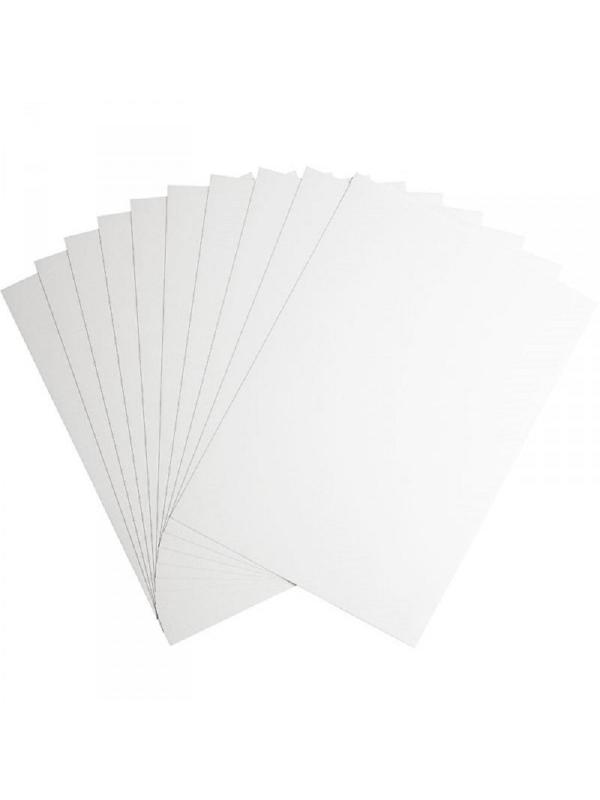 Картон белый №1School, 20л ,А4, Живая природа, мелов