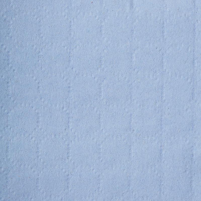 Бумага протирочная Luscan Prof 2сл 500лx1рул/уп 130м голубая