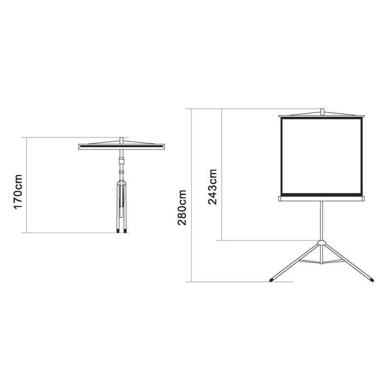 Экран Digis DSKD-1106 мобильный 1:1, 200х200