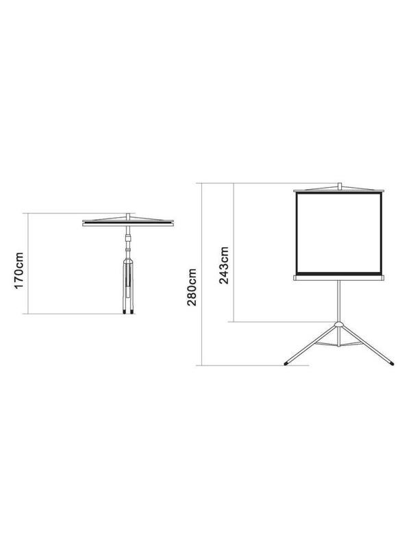 Экран Digis DSKD-1106 мобильный 1:1, 200х200