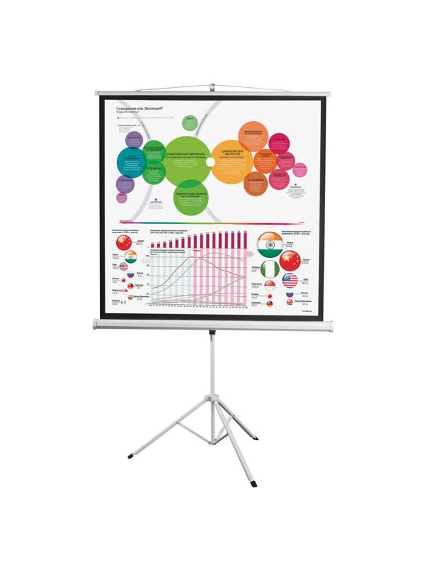 Экран Digis DSKD-1106 мобильный 1:1, 200х200