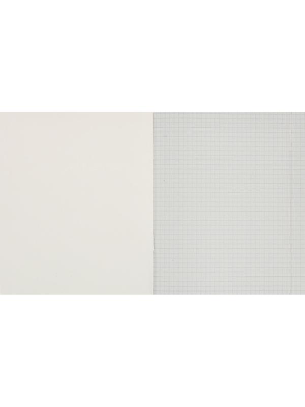 Тетрадь общая А5,48л,кл,скоб,блок-офсет-2 Attache Alpha фиол/красн вассорт