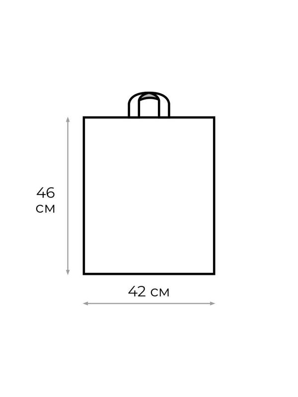 Пакет с петлевой ручкой Перфекто Шик 42х46см 25шт/уп