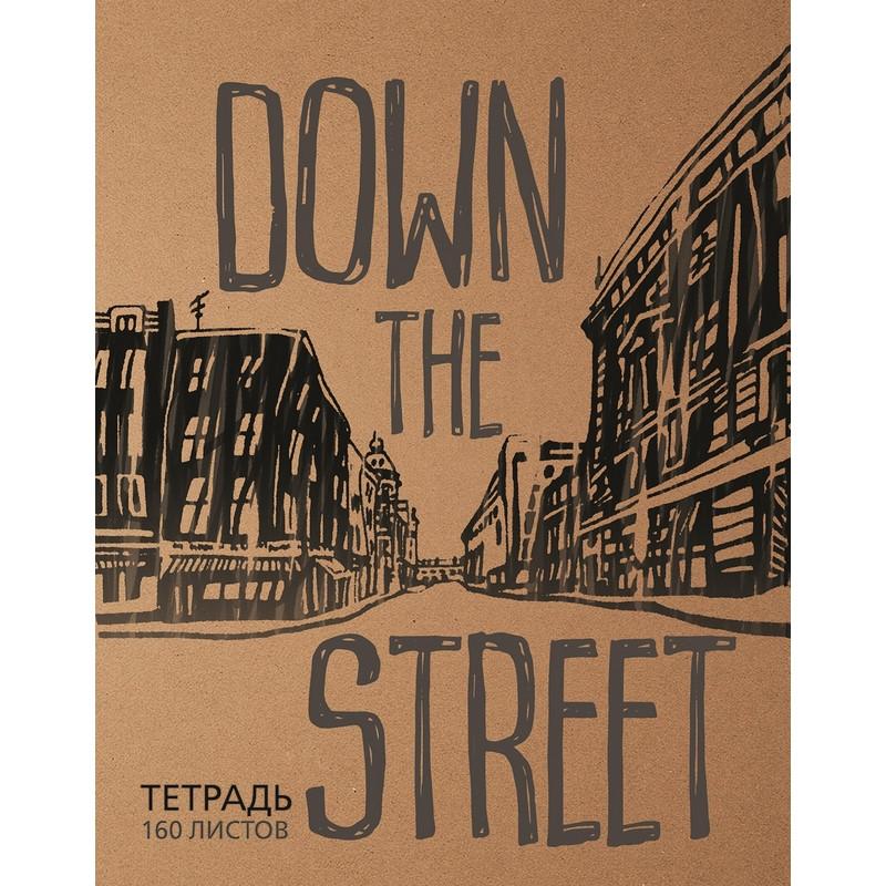 Тетрадь общая А5,160л,клетка,кольца(смен.блок) ВНИЗ ПО УЛИЦЕ 7-160-081/53