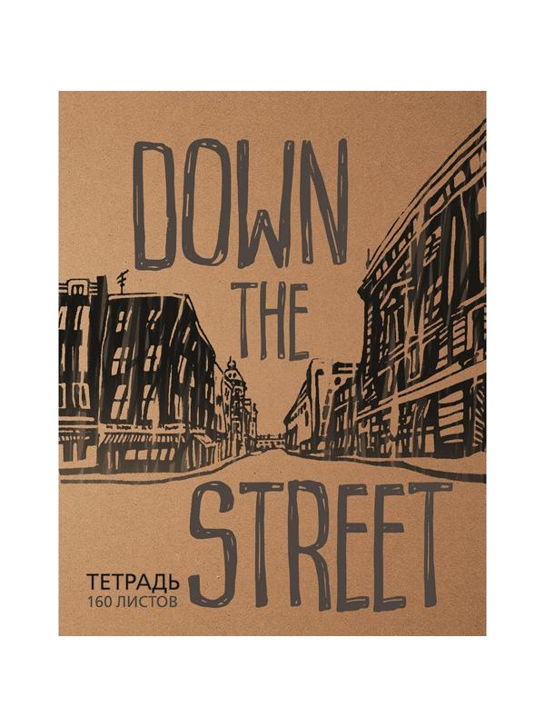 Тетрадь общая А5,160л,клетка,кольца(смен.блок) ВНИЗ ПО УЛИЦЕ 7-160-081/53