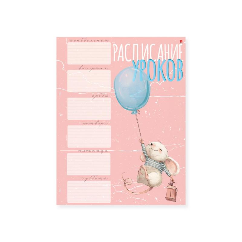 Расписание уроков А4,1л, 4 ВИДА 2-017