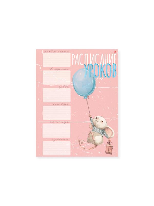 Расписание уроков А4,1л, 4 ВИДА 2-017