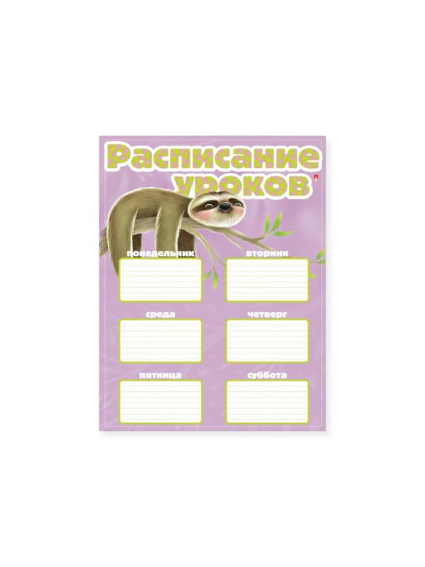 Расписание уроков А4,1л, 4 ВИДА 2-017