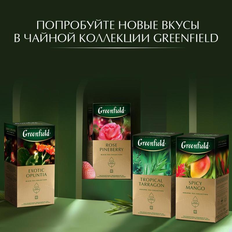 Чай Greenfield Spirit Mate травян, 25пак