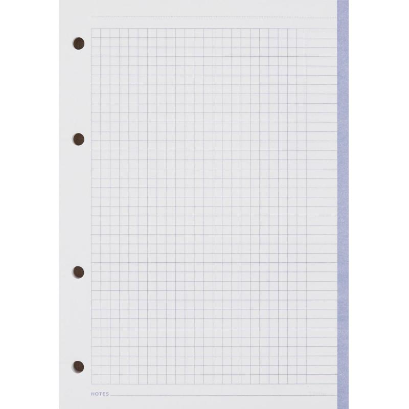 Сменный блок для тетрадей на кольцах, BeSmart А5 120л клетка Цветной N001d