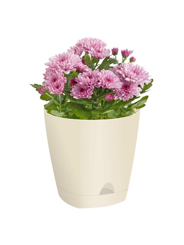 Горшок для цветов AMSTERDAM D 140,  1,35 л Сливочный ING6199СЛ