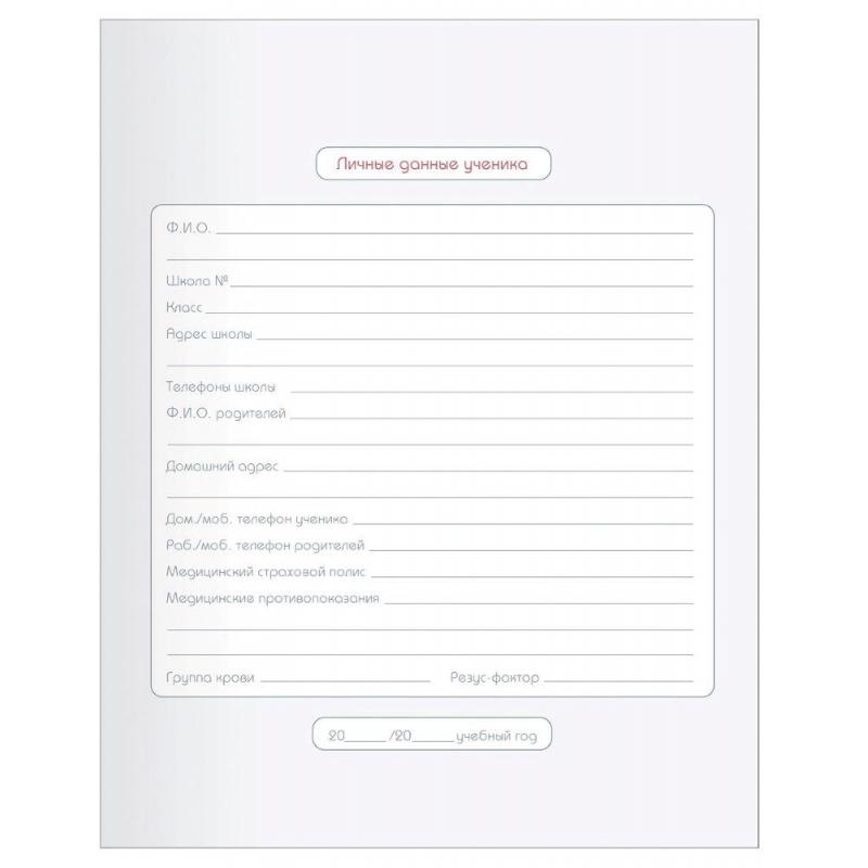 Дневник школьный для ст.клас. BeSmart интегр., А5 48л,Bunny полосы N1907