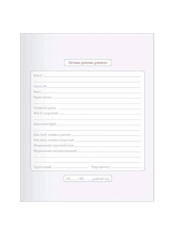 Дневник школьный для ст.клас. BeSmart интегр., А5 48л,Bunny полосы N1907