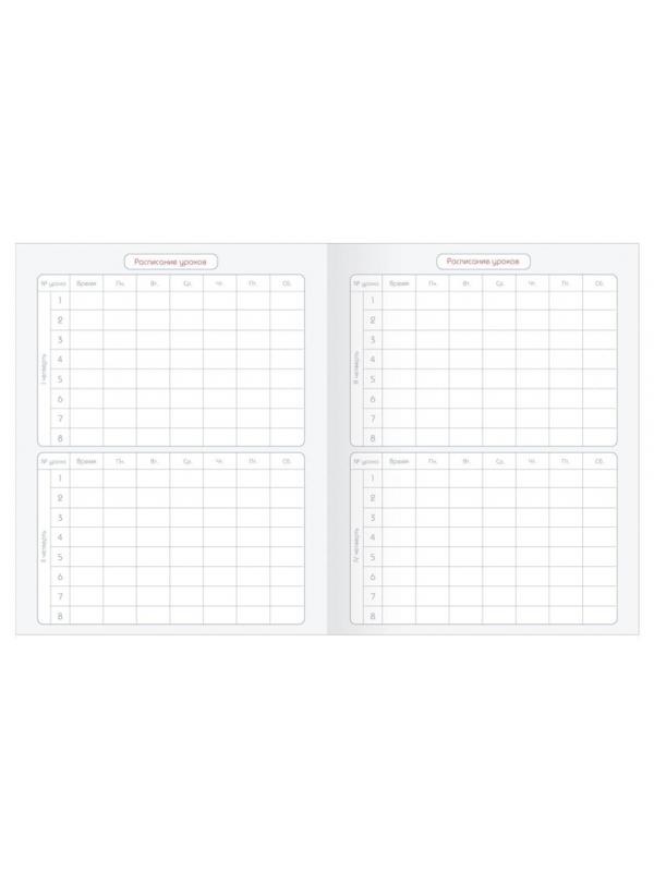 Дневник школьный для ст.клас. BeSmart интегр., А5 48л,Bunny полосы N1907