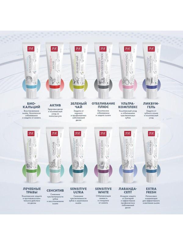 Зубная паста SPLAT Professional ЛЕЧЕБНЫЕ ТРАВЫ 100 мл ЛТ-116
