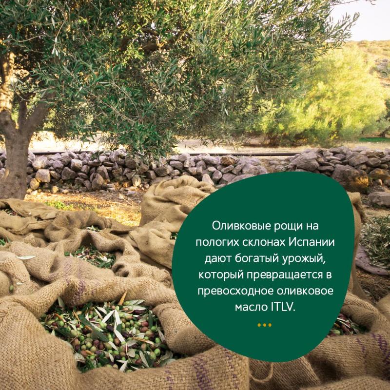 Масло оливковое ITLV Extra Virgin, 500мл