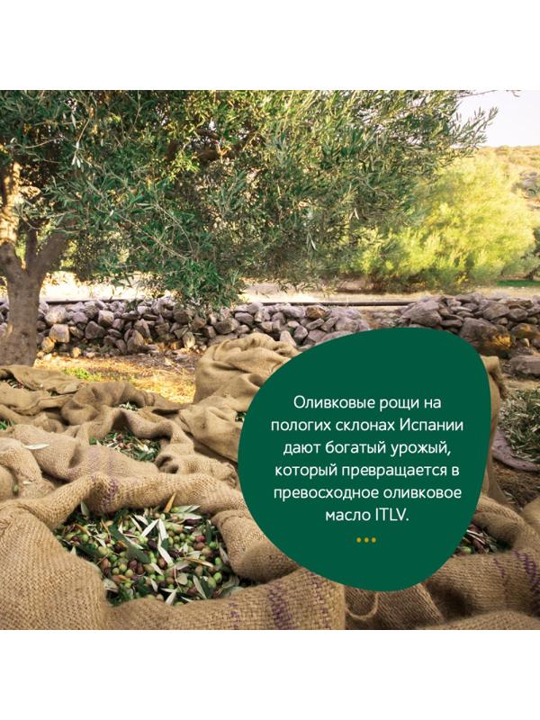 Масло оливковое ITLV Extra Virgin, 500мл