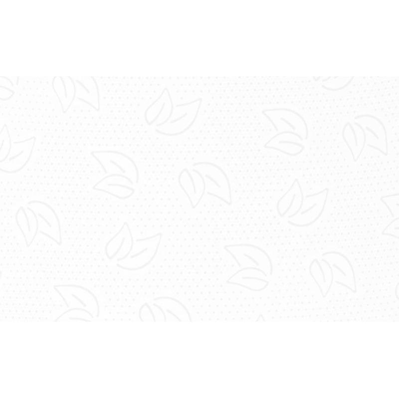 Бумага туалетная д/дисп Protissue 2сл бел цел 170м 12рул/уп С191