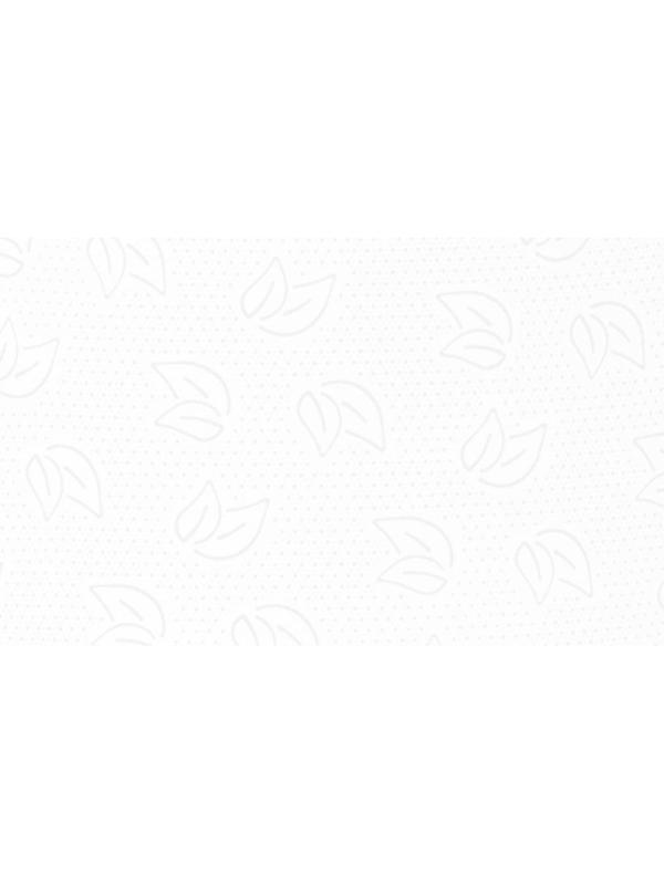 Бумага туалетная д/дисп Protissue 2сл бел цел 170м 12рул/уп С191