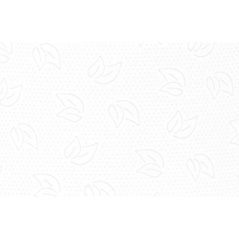 Бумага туалетная д/дисп Protissue 1сл бел цел 200м 12рул/уп С190