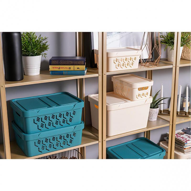 Контейнер для хранения 270х190х120 ММ, 4,6 Л светло