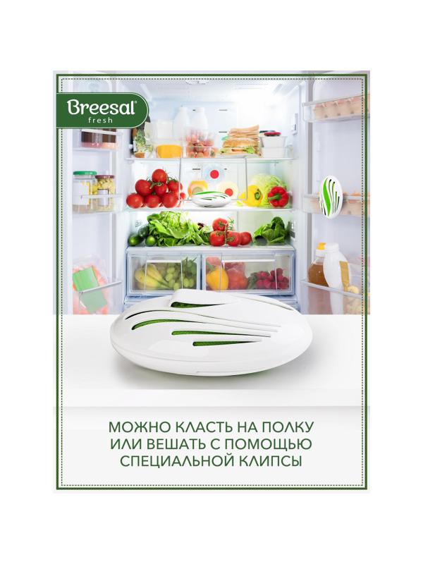 Дезодоратор Поглотитель запаха Breesal для холодильника 80г основнойблок