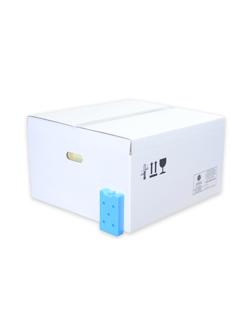 Термоконтейнер медицинский 55 л Т-55-XPS-НК-К