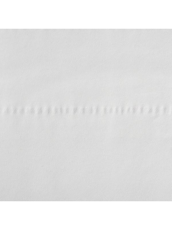 Бумага туалетная д/дисп Focus Point 2сл бел цел 120м ЦВ 12рул/уп 5036915