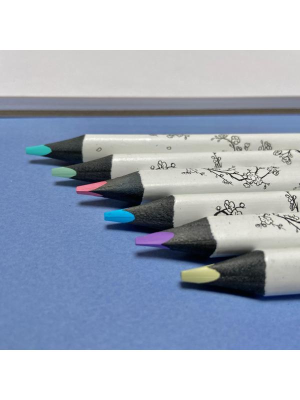 Набор карандашей СКЕТЧ ЦВ.SKETCH&ARTУТОЛ.,4ММ,ВЕСЕН.ПЕЙЗАЖ,6ЦВ,30-0118/09