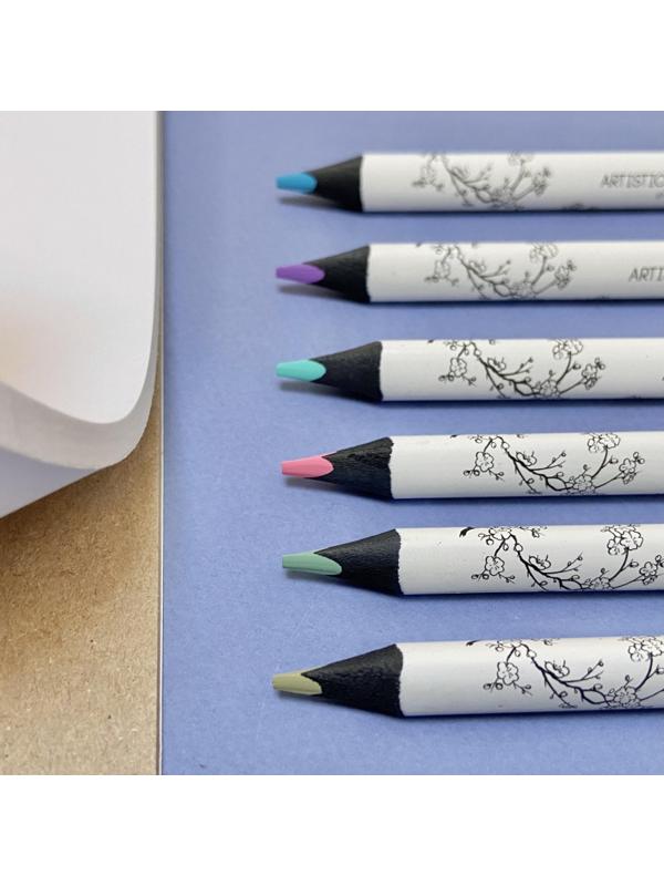 Набор карандашей СКЕТЧ ЦВ.SKETCH&ARTУТОЛ.,4ММ,ВЕСЕН.ПЕЙЗАЖ,6ЦВ,30-0118/09