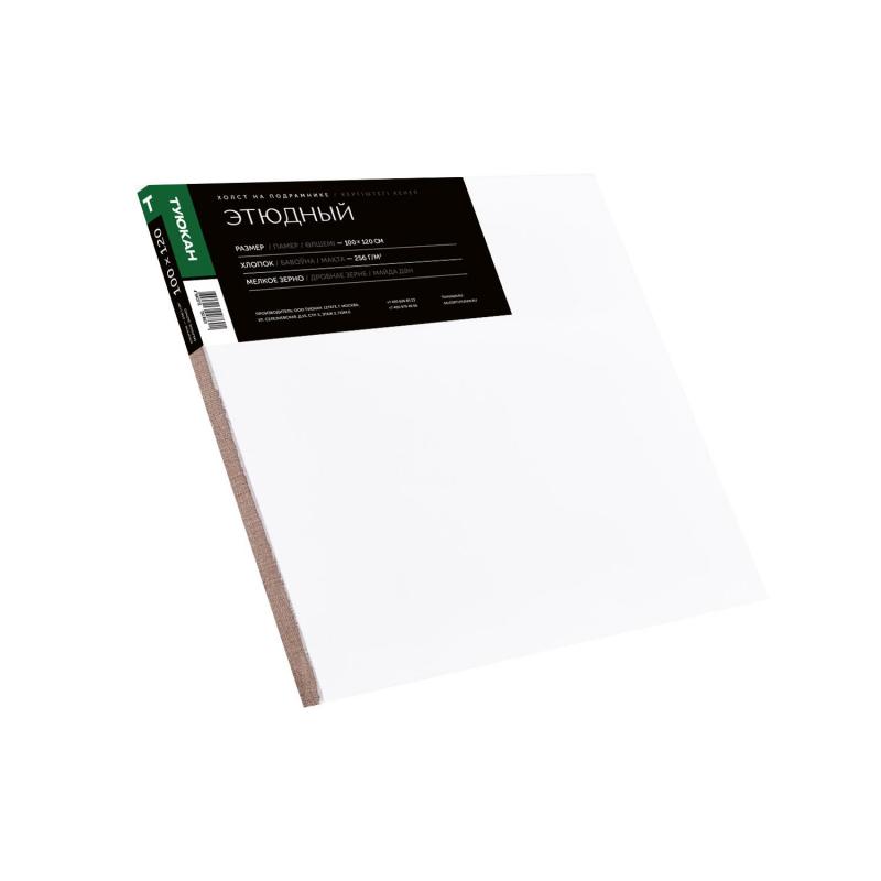 Холст Туюкан Этюдный, 100х120 см, 256г/м2, мелкое зерно, Т0016102