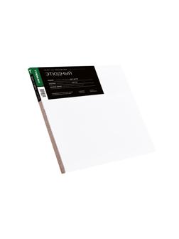 Холст Туюкан Этюдный, 100х120 см, 256г/м2, мелкое зерно, Т0016102