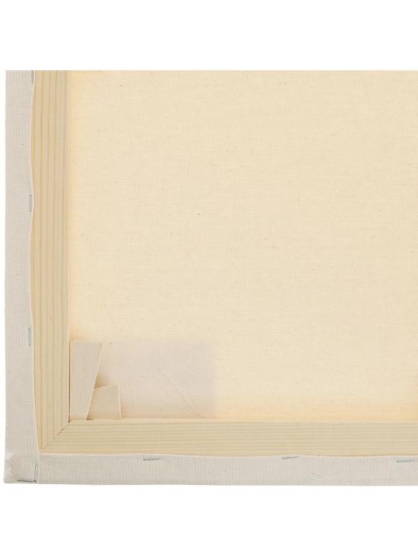 Холст Туюкан Этюдный, 100х120 см, 256г/м2, мелкое зерно, Т0016102