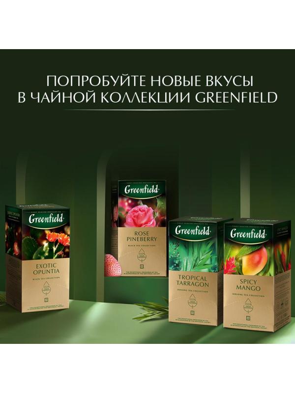 Чай Greenfield Спайси Манго, 25пак/1уп 1725-10