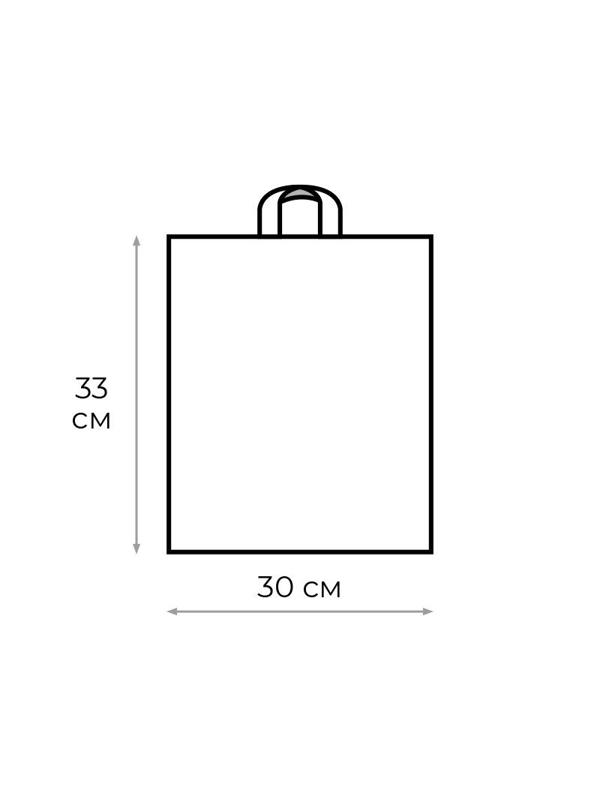 Пакет с петлевой ручкой 30х33+3 (70)  Хатчард черный 50 шт/уп
