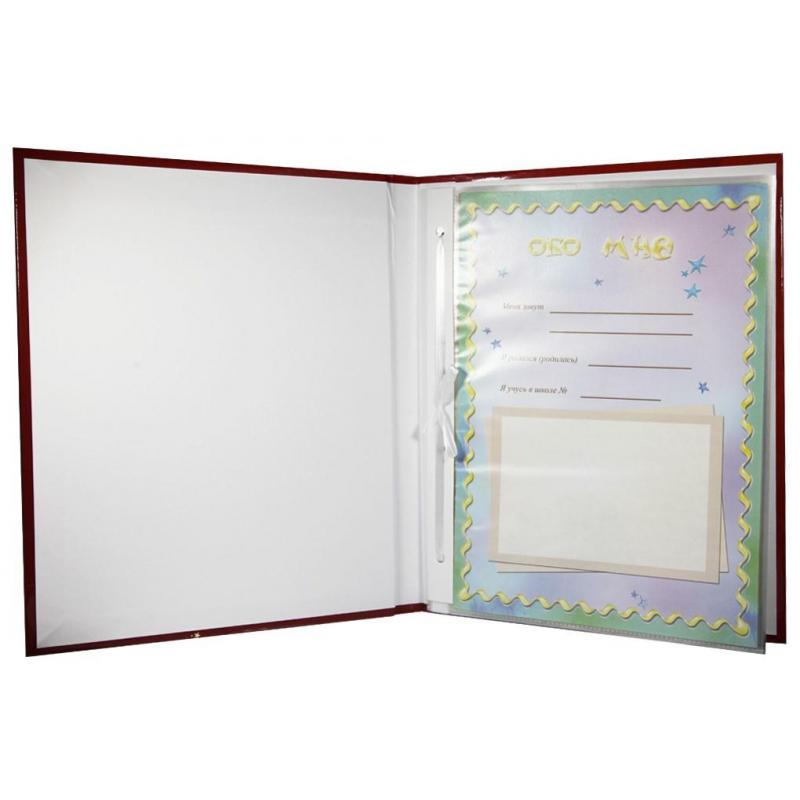 Портфолио школьн ламин Паруса с гребешками с цв листами в файлах 14шт